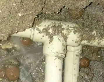 镇宁测漏水多少钱