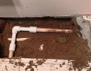 镇宁测漏水哪家好