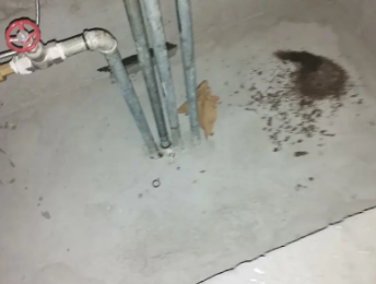 镇宁卫生间测漏水价格明细