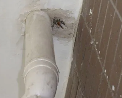 镇宁漏水检测哪家好